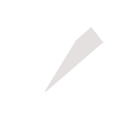 雄安临时保镖服务